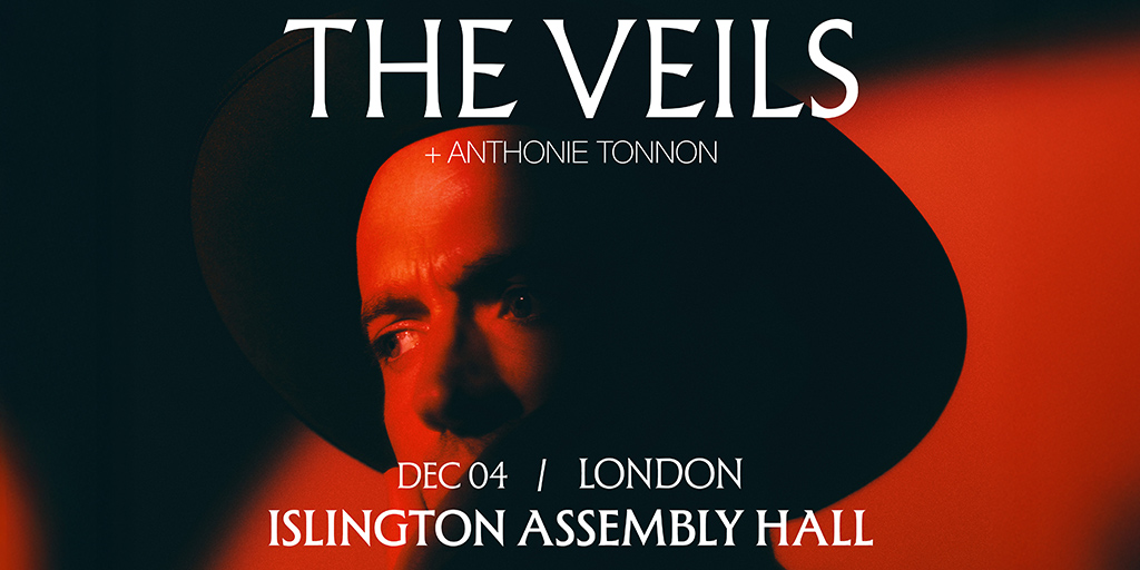 TheVeils